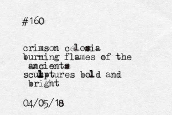#160 crimson celosia burning flames of the ancients scump l l tures bold and bright 04/05/18