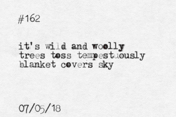 #162 it's wild and woolly trees toss tempestuously blanket covers sky 07/05/18