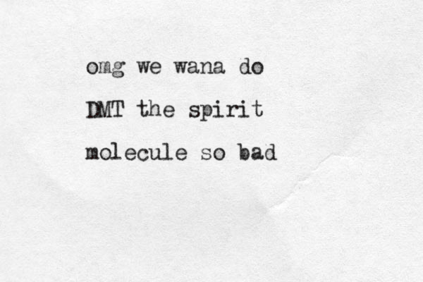 omg we wana do DMT the spirit molecule so bad