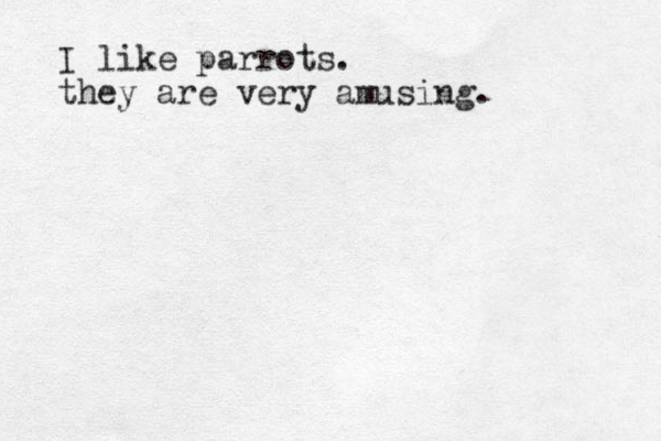 I like parrots. they are very amusing.