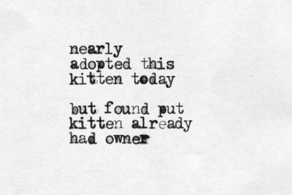 nearly adopted this kitten today but found put kitten already had owner