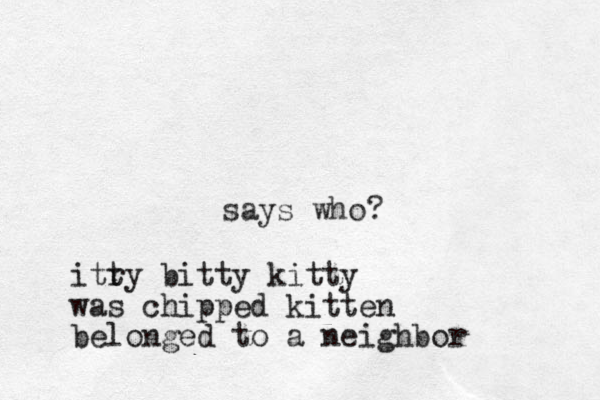 says who? itry t bitty kitty was chipped kitten belonged to a neighbor