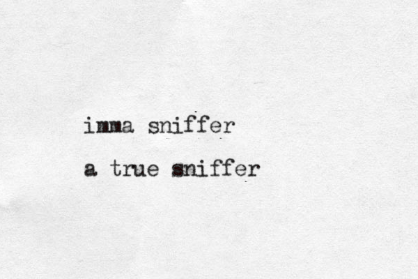 imma sniffer a true sniffer