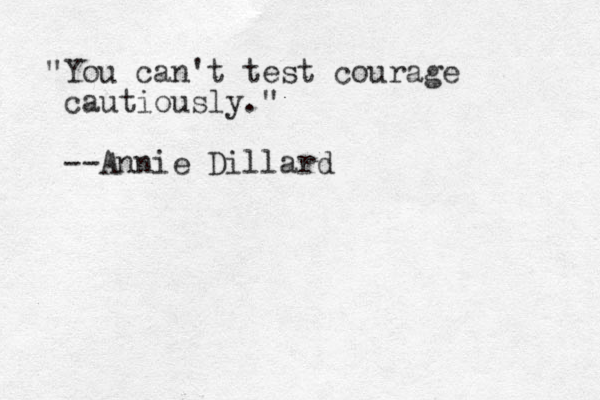 "You can't test courage cautiously." --Annie Dillard