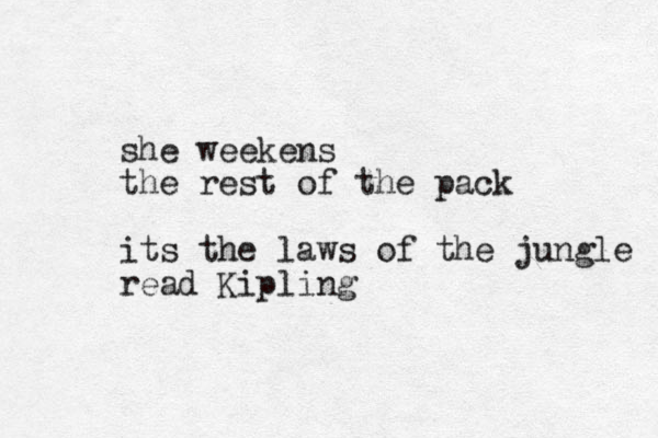 she weekens the rest of the pack its the laws of the jungle read Kipling