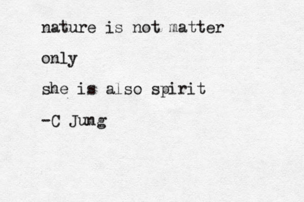 nature is not matter only she is also spirit -C Jung