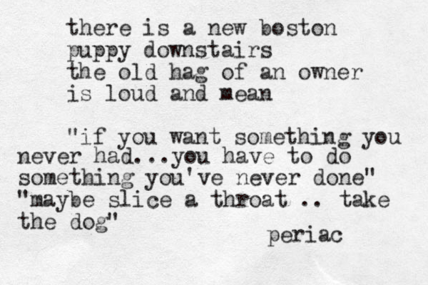 there is a new boston puppy downstairs the old hag of an owner is loud and mean "if you want something you never had...you have to do something you've never done" "maybe slice a throat .. take the dog" periac 