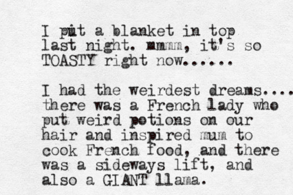 I pi ut a blanket in top last night. mmmm, it's so TOASTY right now...... I had the weirdest dreams.... there was a French lady who put weird potions on our hair and inspired mum to cook French food, and there was a sideways lift, and also a GIANT llama. 