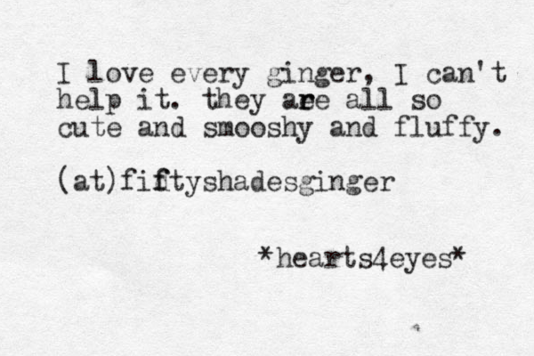 I love every ginger, I can't help it. they aee all so r r cute and smooshy and fluffy. (at)fidty f f shadesginger *hearts4eyes* 