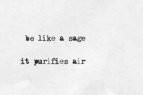 be like a sage it purifies air