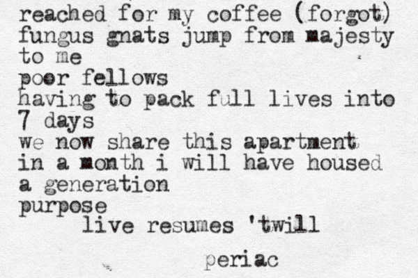 reached for my coffee (forgot) fungus gnats jump from majesty to me poor fellows having to pack full lives into 7 days we now share this apartment in a month i will have housed a generation purpose live resumes 'twill periac