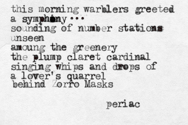 this morning warblers greeted a symphany ho o o iny sounding of number stations unseen amoung the greenery the plump claret cardinal singing whips and drops of a lover's quarrel ... behind Zorro Masks periac