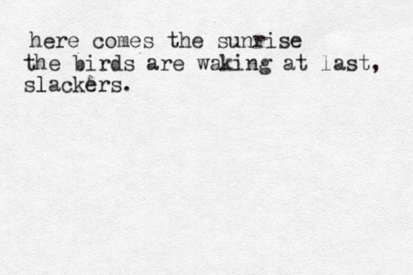 here comes the sunrise the birds are waking at last, slackers. l
