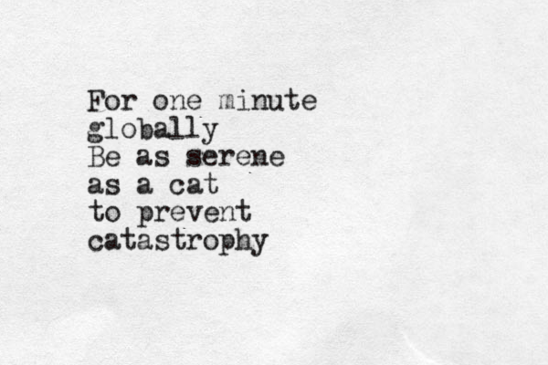 For one minute globally Be as serene as a cat to prevent catastrophy