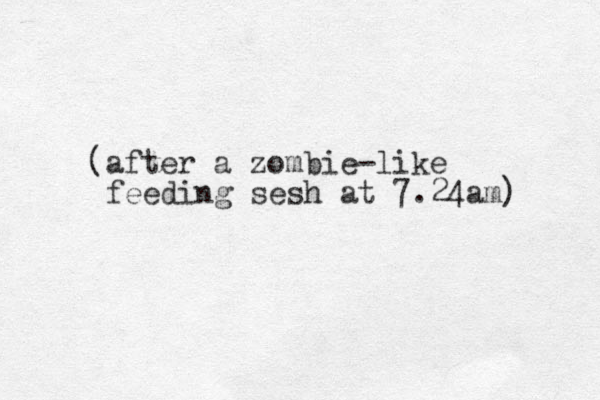 (after a zombie-like feeding ses h at 7.24am) 