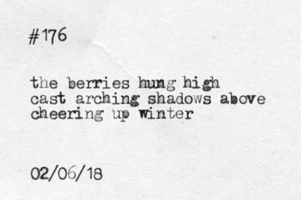 #176 the berries hung high cast arching shadows above cheering up winter 02/06/18