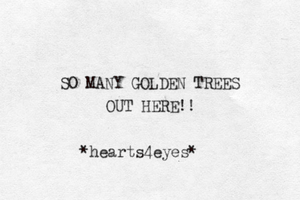 SO MANY GOLDEN TREES OUT HERE!! *hearts4eyes*