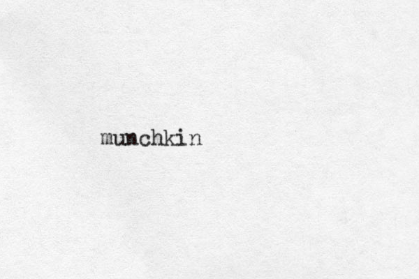 munchkin