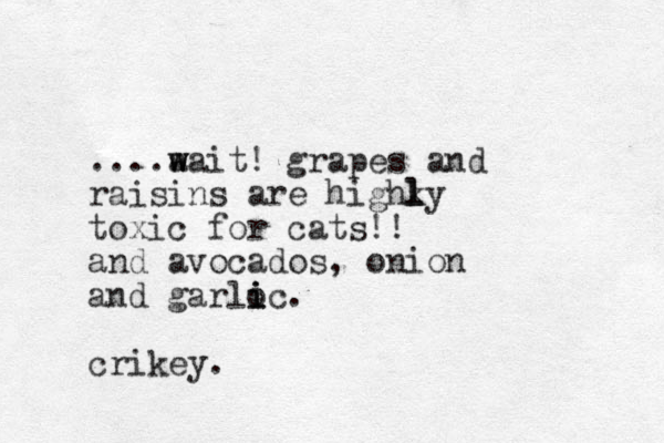....aa ww it! w grapes and raisins are highky l l toxic for cats!! and avocados, onion and garloc i i i . crikey.