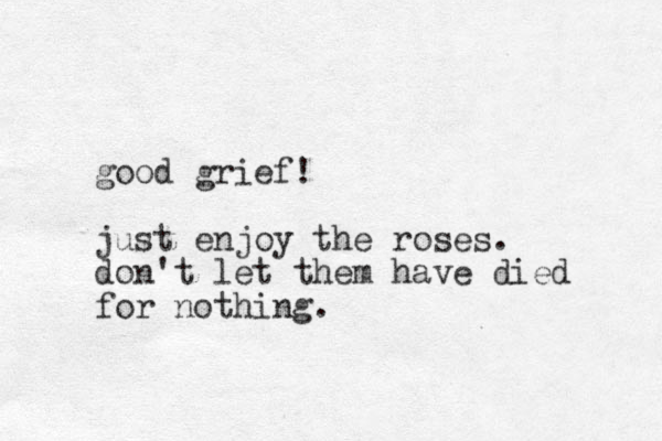 good grief! just enjoy the roses. don't let them have died for nothing.