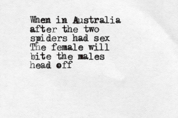 When in Australia after the two spiders had sex The female will bite the males head off