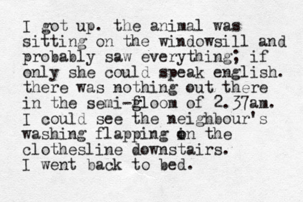 I got up. the animal was sitting on the windowsill and probably saw everything; if only she could speak english. there was nothing out there in the semi-f g gloom of 2.37am. I could see the neighbour's washing flapping in o o the clothesline downstairs. I went back to bed.