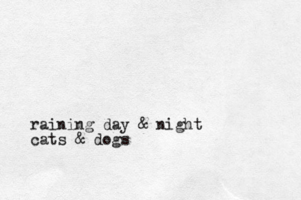 raining day & night cats & dogs