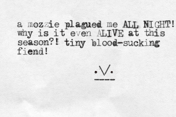a mozzie plagued me ALL NIGHT! why is it even ALIVE at this season?! tiny blood-sucking fiend! .\/. ----