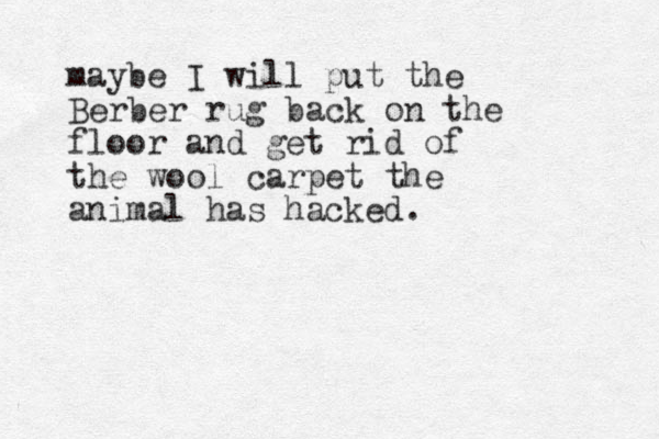 maybe I will put the Berber rug back on the floor and get rid of the wool carpet the animal has hacked. 