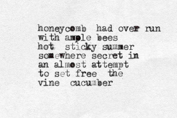 honeycomb had over run with amole o p bees hot sticky summer somewhere secret in an almost attempt to set free the vine cucumber