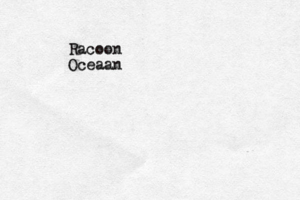 Racoon Oceaan