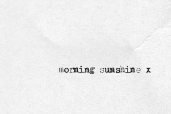 morning sunshine x 
