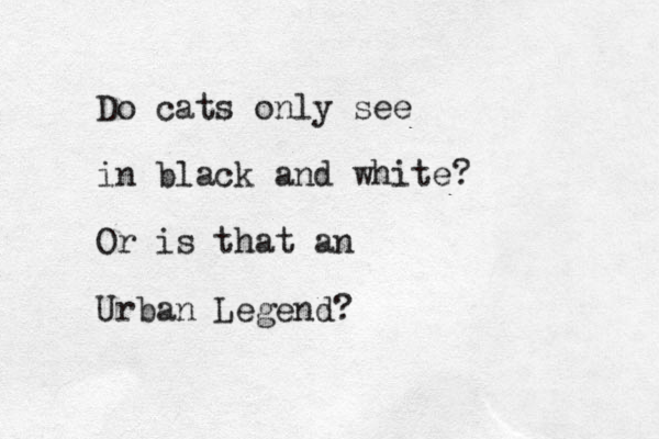 Do cats only see in black and white? Or is that an Urban Legend?