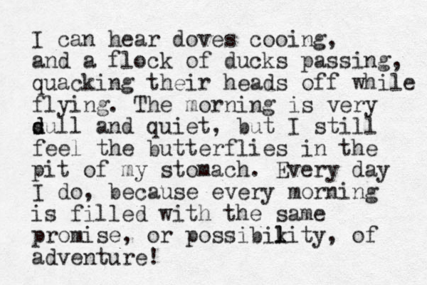 I can hear doves cooing, and a flock of ducks passing, quacking their heads off while flying. The morning is very s d dull and quiet, but I still feel the butterflies in the pit of my stomach. Every day I do, because every morning is filled with the same promise, or possibik l lity , of adventure!