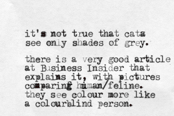 it's not true that cata see only shades of grey. s there is a very good article at Business Insider that explains it, with pictures comparinf g g himan/ u feline. they see colour more like a colourblind person.