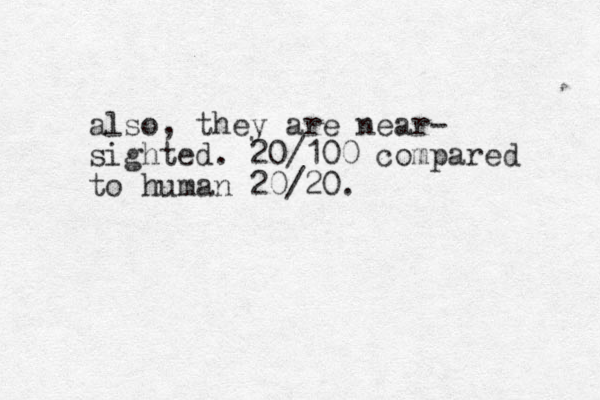 also, they are near- sighted. 20/100 compared to human 20/20.