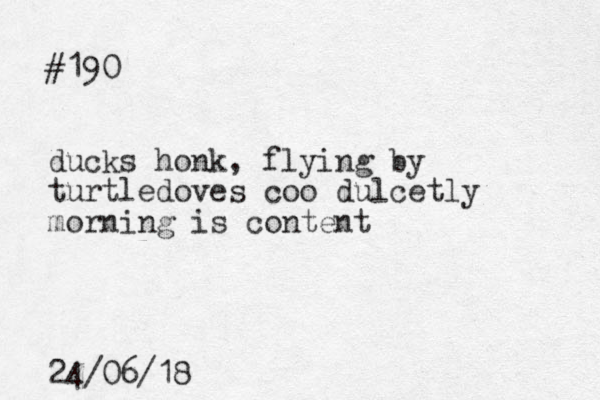 #190 ducks honk, flying by turtledoves coo dulcet ly morning is content 24/06/18