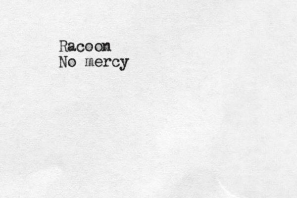 Racoon No mercy