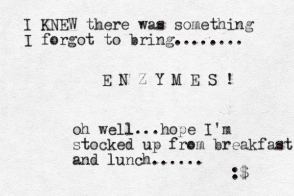I KNEW there was something I forgot to bring........ E N Z Y M E S ! oh well...hope I'm stocked up from breakfast and lunch...... :$ 