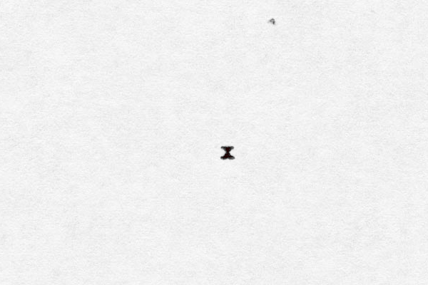 x 