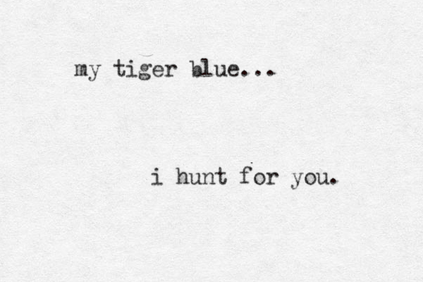 my tiger blue... i hunt for you. 