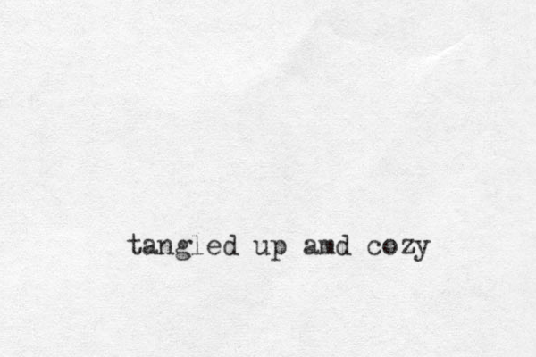 tangled up amd cozy