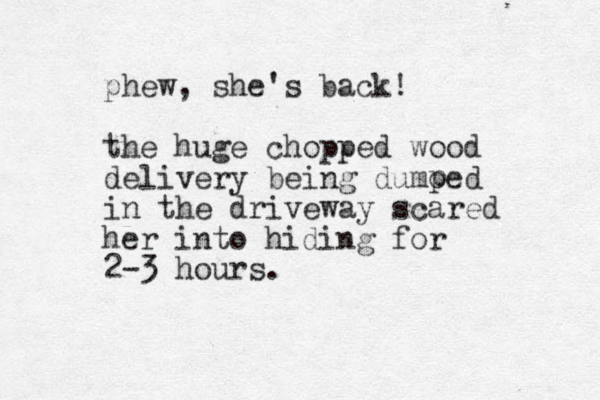 phew, she's back! the huge chopped wood delivery being dumoed in the driveway scared her into hiding for 2-3 hours. p 