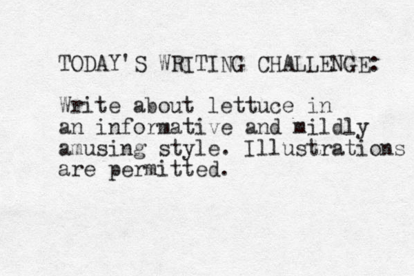 TODAY'S WRITING CHALLENGE: Write about lettuce in an informative and mildly amusing style. Illustrations are permitted.