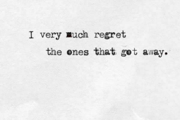 I very much regret the ones that got away. 