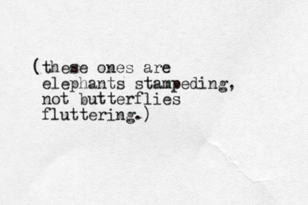 (these ones are elephants stampeding, not butterflies fluttering.)
