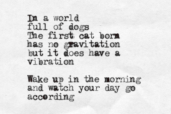 In a world full of dogs The first cat born has no gravitation but it does have a vibration Wake up in the morning and watch your day go according