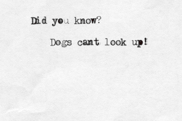 Did you know? Dogs cant look up!