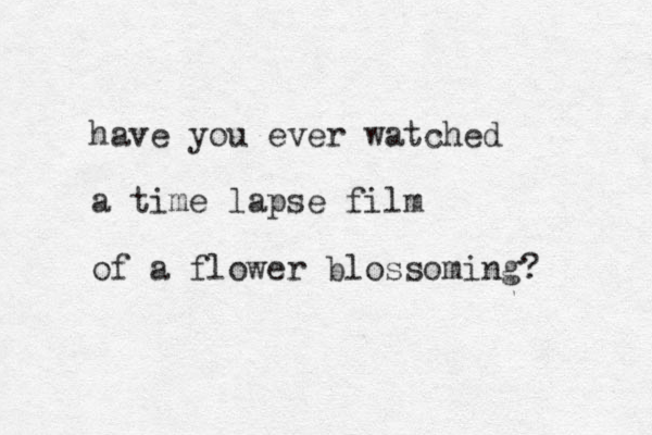 have you ever watched a time lapse film of a flower blossoming? 