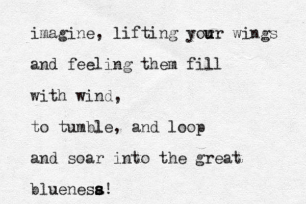 imagine, lifting yor u ur wings and feeling them fill with wind, to tumble , and loop and soar into the great blue e n sa s s s!